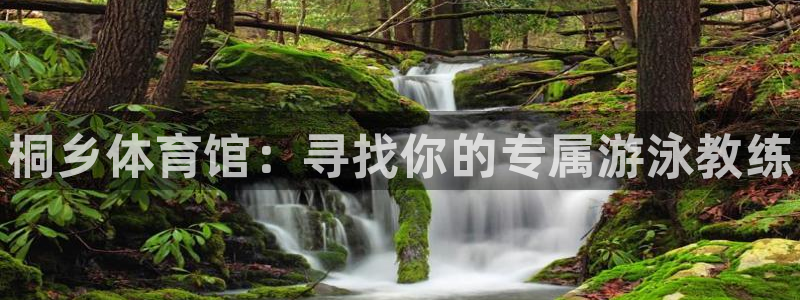 焦点娱乐官方网站入口在线观看下载