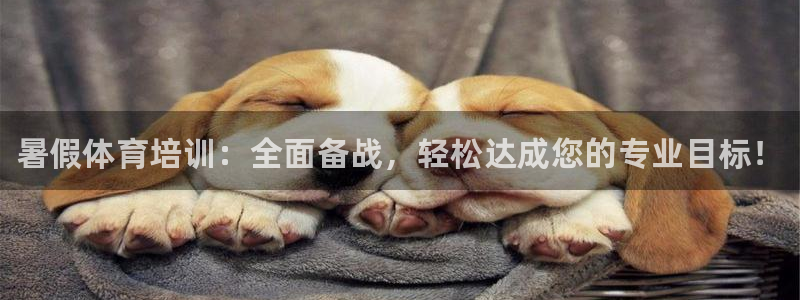 焦点娱乐游戏攻略：暑假体育培训：全面备战，轻松达成您的专业目