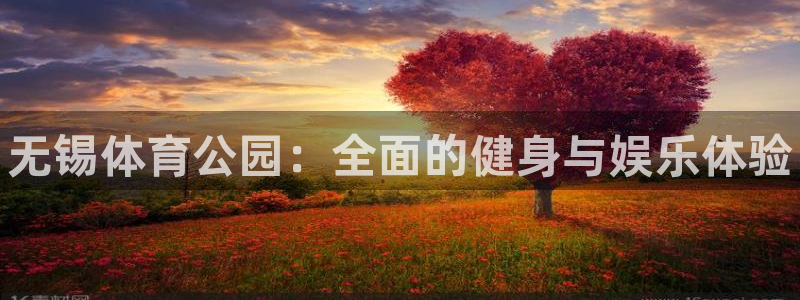 焦点娱乐传媒有限公司是干嘛的公司：无锡体育公园：全面的健身与
